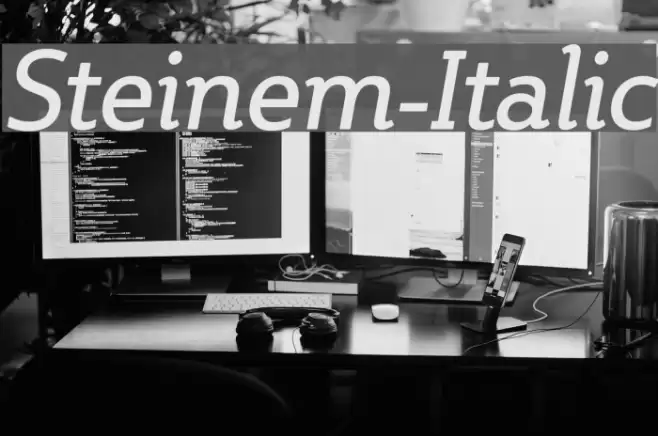 Steinem-Italic Font examples