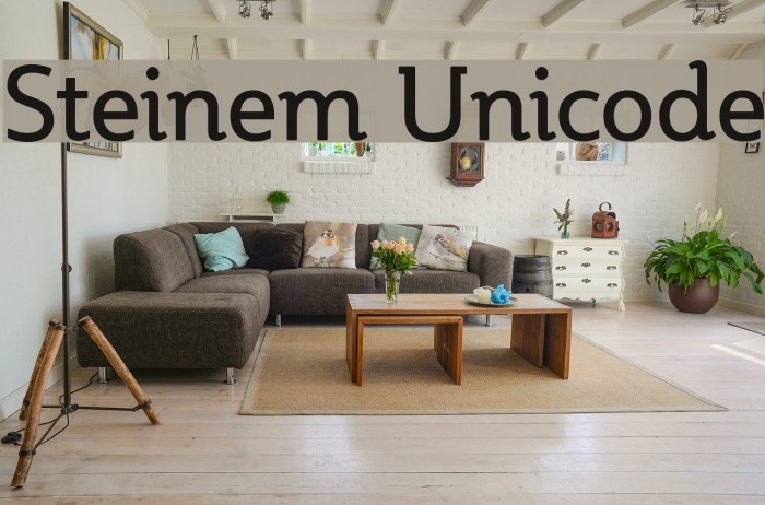 Steinem Unicode Font examples