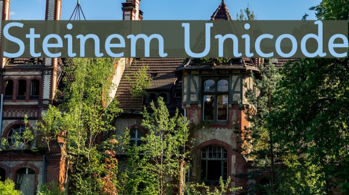 Steinem Unicode Font examples