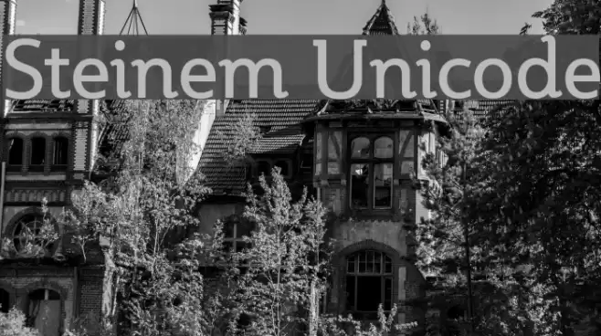Steinem Unicode Font examples