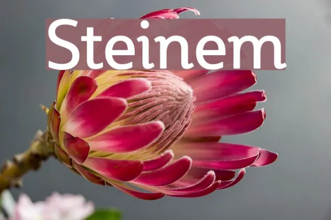 Steinem Example 1