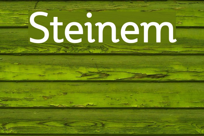 Steinem Font examples