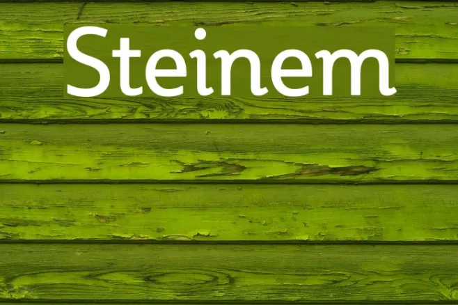 Steinem Example 2