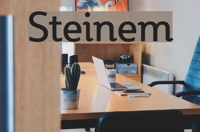 Steinem Font examples