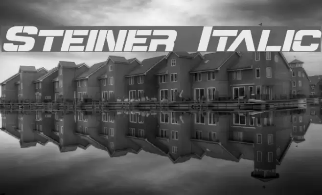 Steiner Italic Font examples