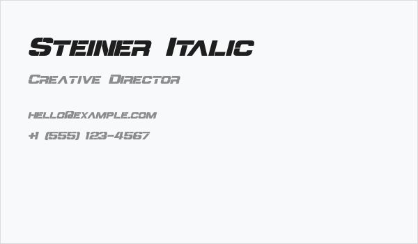 Steiner Italic Business Card