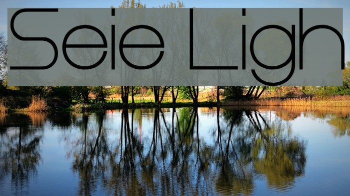 Steiner Light Schriftart examples