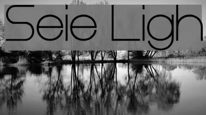 Steiner Light Schriftart examples