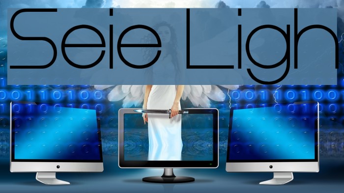 Steiner Light Schriftart examples