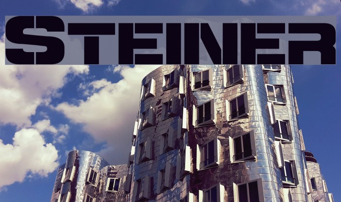 Steiner Font examples