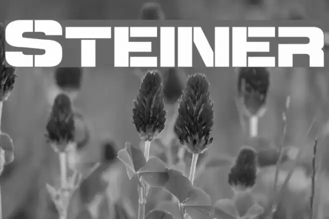 Steiner Font examples