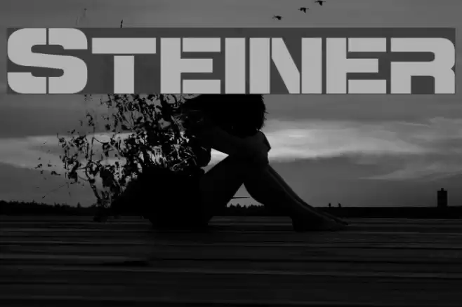 Steiner Font examples