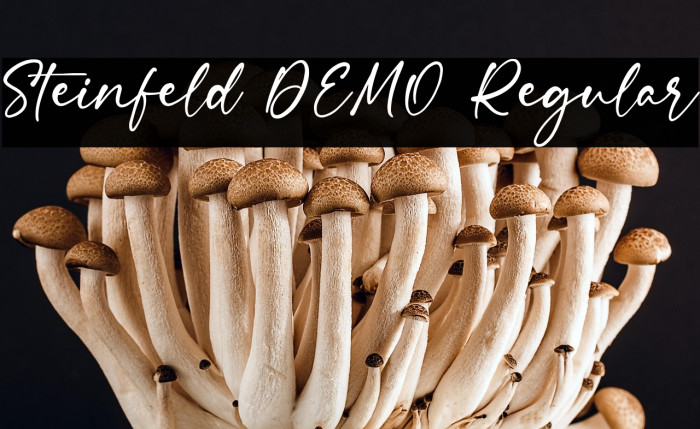 Steinfeld DEMO Regular Example 1