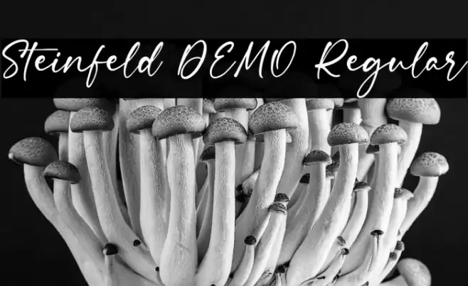 Steinfeld DEMO Regular Font examples
