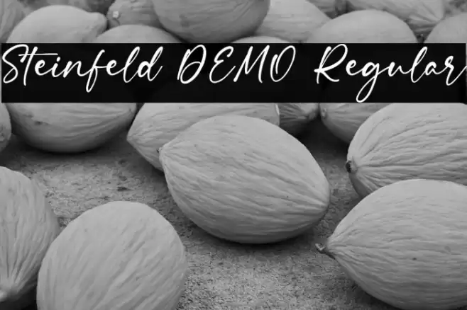 Steinfeld DEMO Regular Font examples