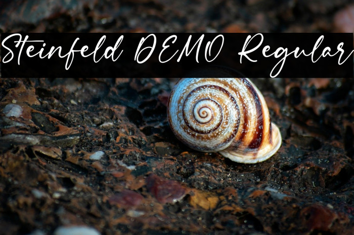 Steinfeld DEMO Regular Example 3