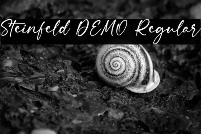 Steinfeld DEMO Regular Font examples
