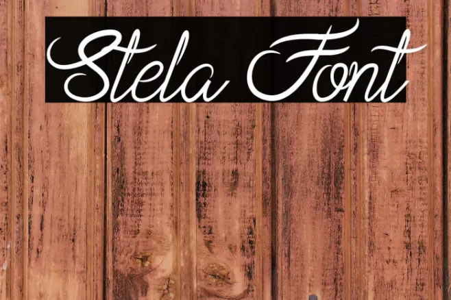 Stela Example 1