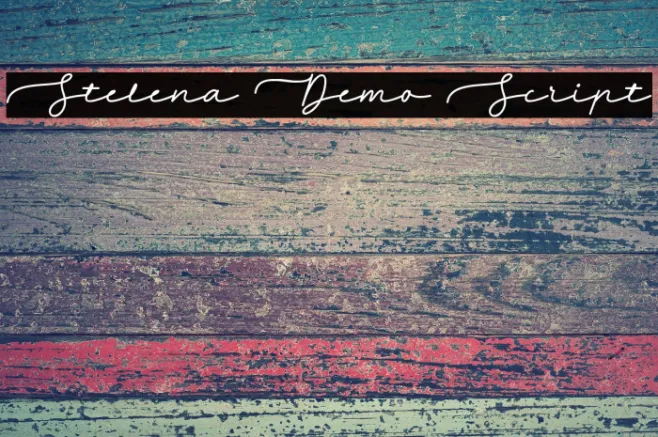 Stelena Demo Script Example 1