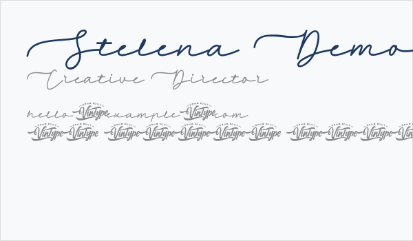 Stelena Demo Script Business Card