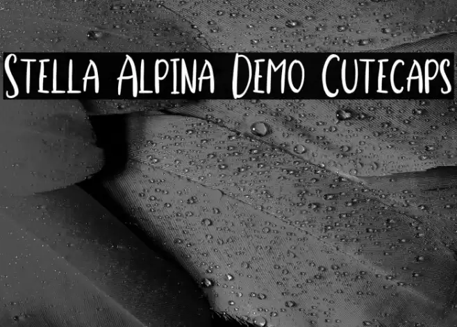Stella Alpina Demo Cutecaps Polices examples