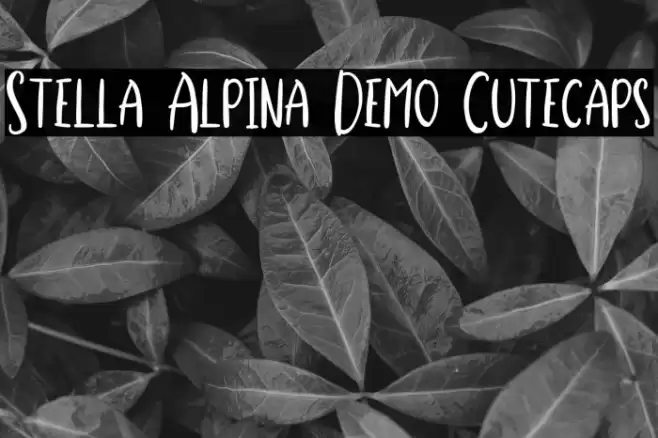 Stella Alpina Demo Cutecaps Polices examples