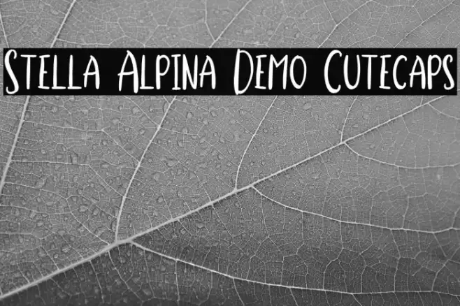 Stella Alpina Demo Cutecaps Polices examples