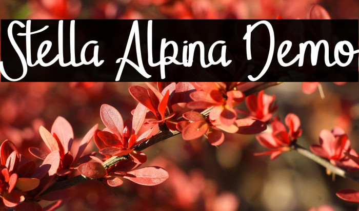 Stella Alpina Demo Example 1