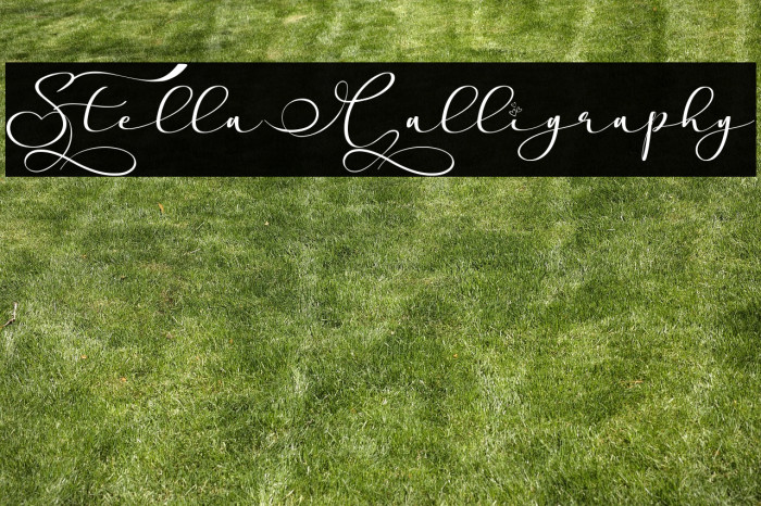 Stella Calligraphy Example 1