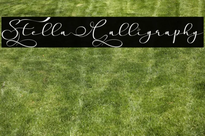 Stella Calligraphy Example 1