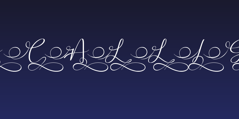 Stella Calligraphy Social Header