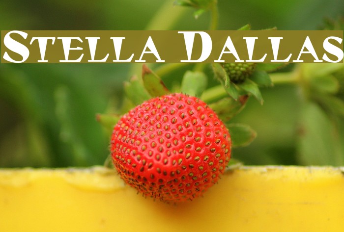 Stella Dallas Font examples