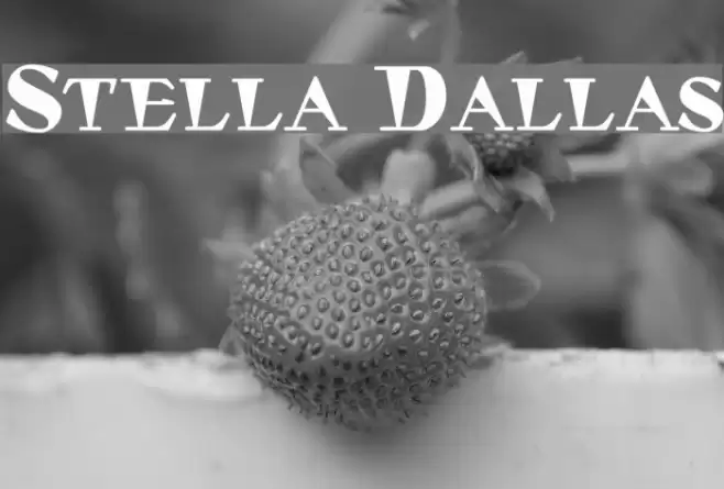 Stella Dallas Schriftart examples