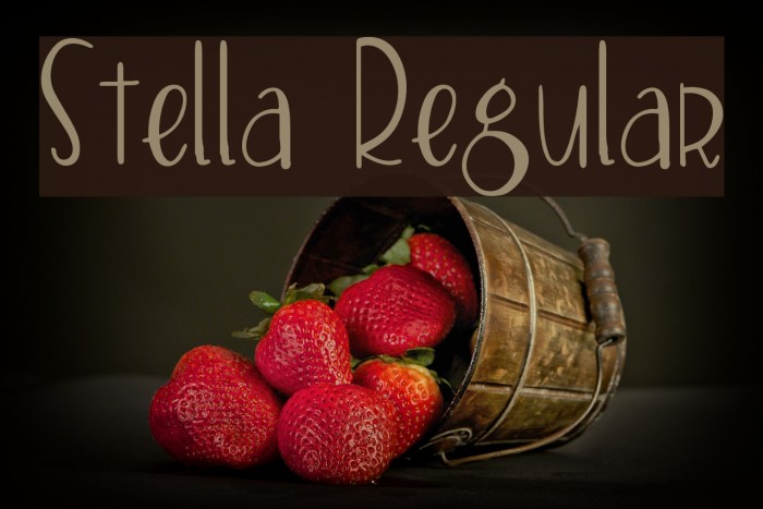 Stella Regular Example 3