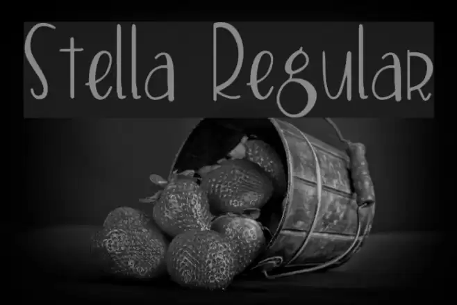 Stella Regular Font examples