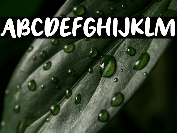 Stella Violet Example 1