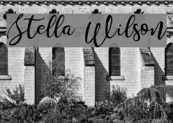 Stella Wilson Font examples