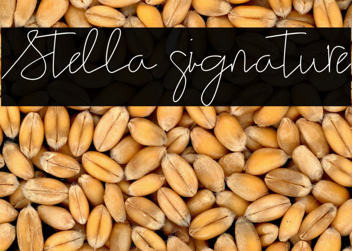 Stella signature Example 1