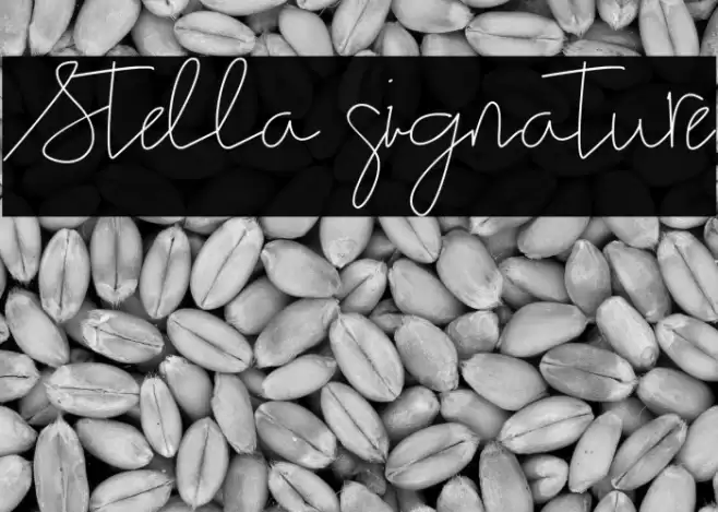 Stella signature Font examples