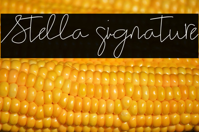 Stella signature Example 3