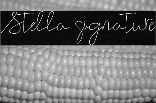 Stella signature Font examples