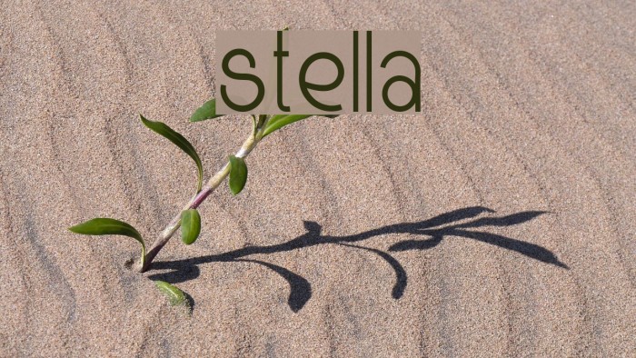 Stella Font examples