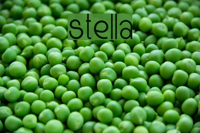 Stella Font examples