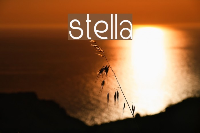 Stella Font examples