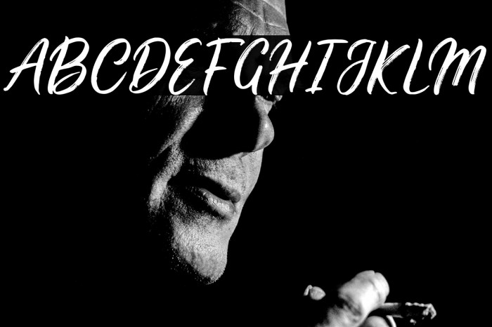 Stellani Alt Demo Example 1