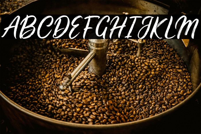 Stellani Alt Demo Example 2