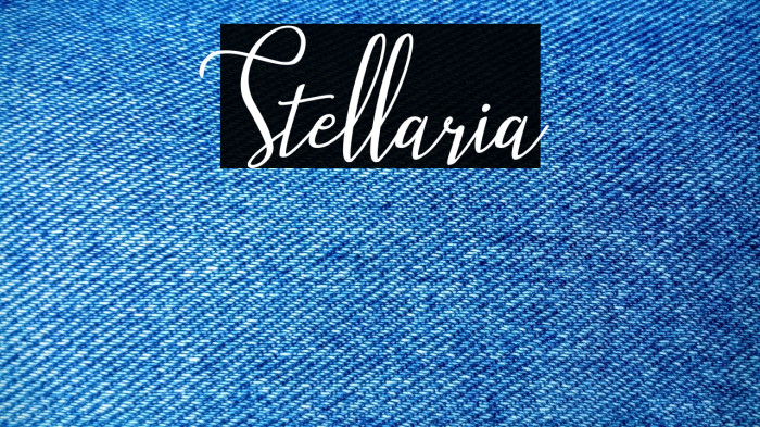Stellaria Example 2