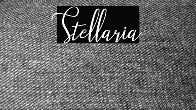 Stellaria Font examples