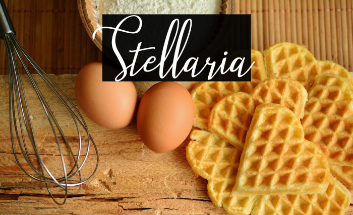 Stellaria Example 3