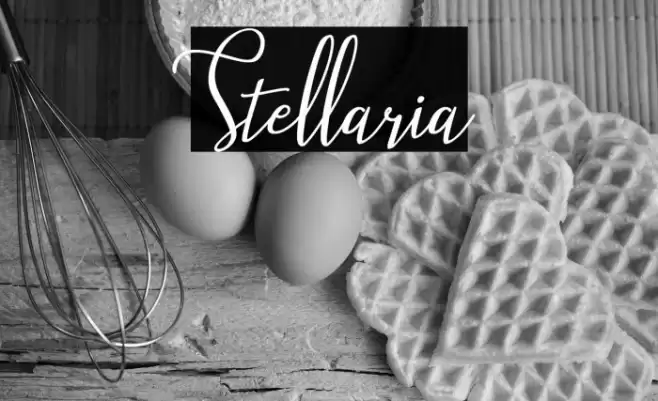 Stellaria Font examples